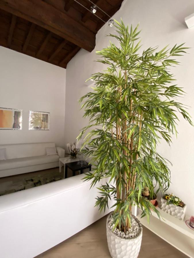 Suite Saffi 99 Viterbe Extérieur photo